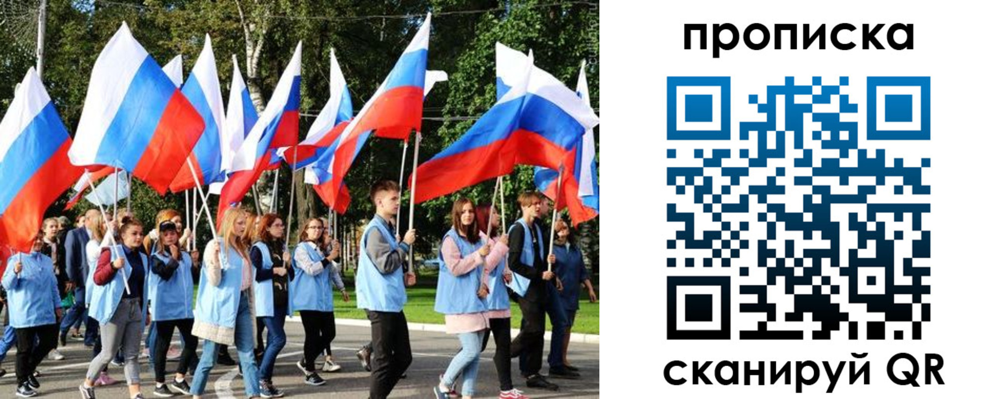 прописка поиск в Владимирской области